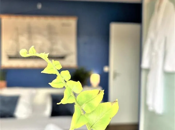 Appartement Surf Ou Golf House A Quelques Pas De L'ocean Moliets-et-Maa